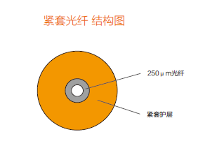 半岛在线